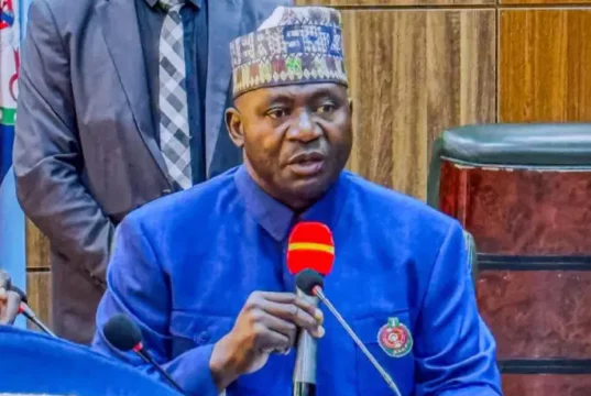 Defence Minister Calls On State Govts To Stop Negotiating With bandits Defence Minister Reveals Assassination Plans In Foiled Coup