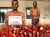 13 Brigade Troops Arrest Suspected Gun Runner, Recover 245 Cartridges In Cross River 13 Brigade Troops Arrest Suspected Gun Runner, Recover 245 Cartridges In Cross River