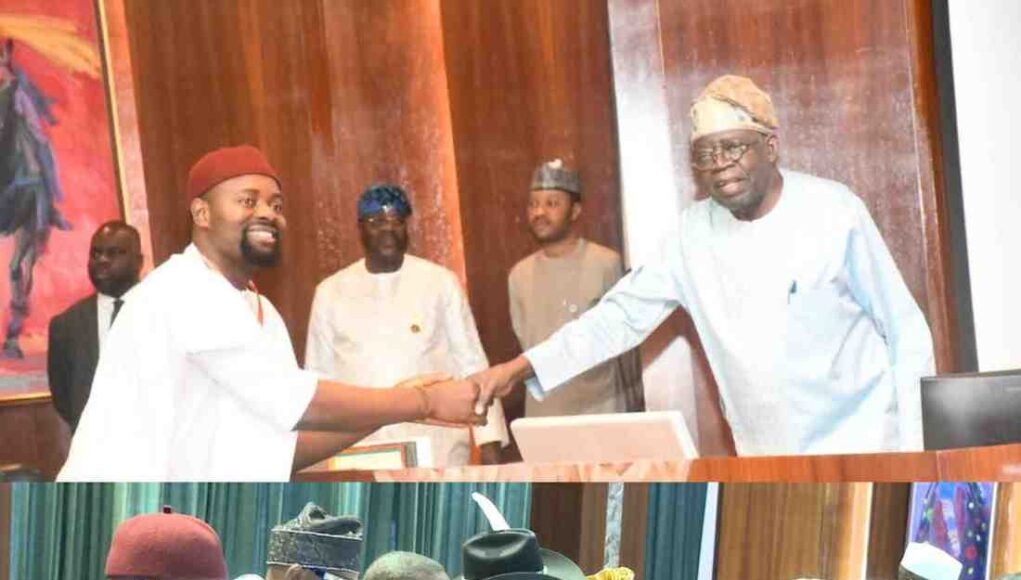 Peter Eze Tinubu Swears In Peter Eze, Ayo Omidiran, 36 Others As Federal Character Commissioners