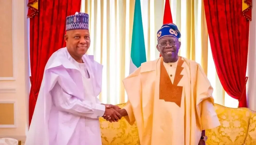 APC Denies Plans To Drop VP Shettima, Warns Against Rumours Ahead Of 2027 Elections