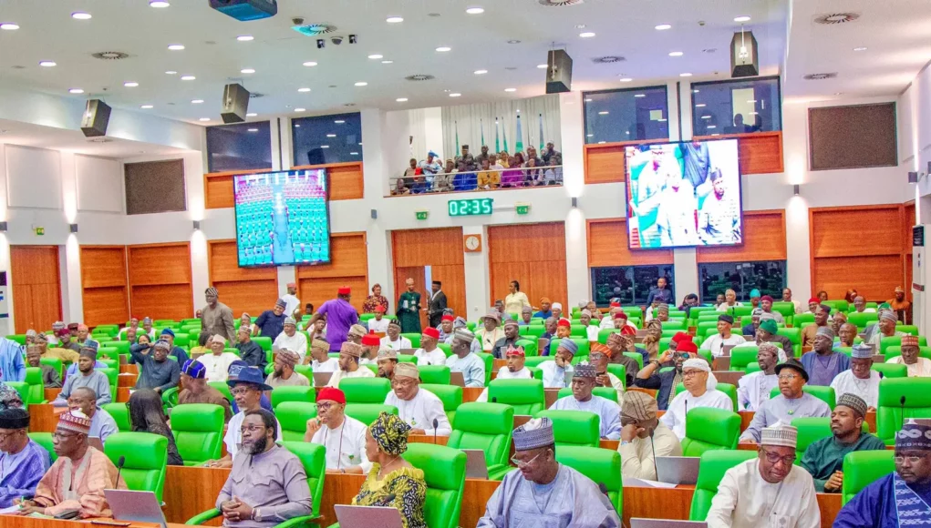 Reps Demand Swift Military Action As Bandits Kill Six, Abduct 20 In Gombe Communities