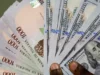 Naira Depreciate To N1,480/$ In Parallel Market Naira Depreciate To N1,480/$ In Parallel Market