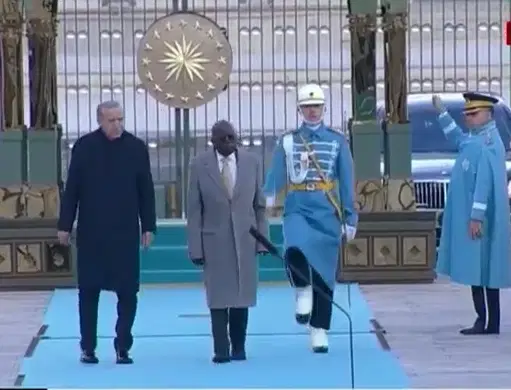 image-231 Tinubu Missteps During Reception Parade In Turkey