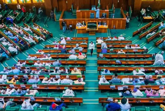 NRS Project N40.7tn Taxes, Royalties For 2026 Revenue Xenophobia: Reps Seek Compensation As S-African Businesses Shut Down