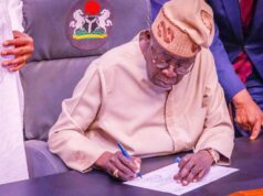 Tinubu’s Signed Executive Order May Increase FG, States, LG Allocations Tinubu's Signed Executive Order May Increase FG, States, LG Allocations