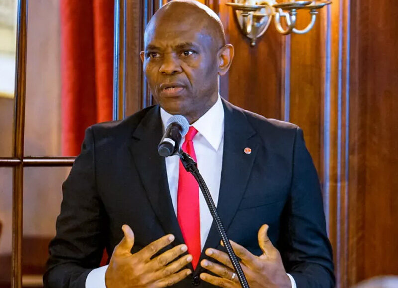 Elumelu Commend Tinubu’s  SME, Tax, Power Sector Reforms 