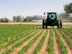 Manufacturers, Agric Sector Face Up To 60% interest rate Manufacturers, Agric Sector Face Up To 60% Interest Rate