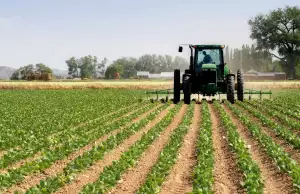 70% Of Agric Data In Govt Hands Outdated — Survey 70% Of Agric Data In Govt Hands Outdated — Survey