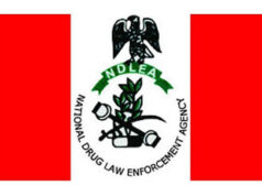 NDLEA Commits To Strengthen Global Fight Against Drugs NDLEA Commits To Strengthen Global Fight Against Drugs