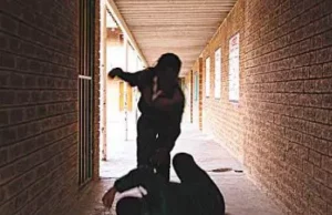 Bullying: Parents, Schools Have More Work To Do To Stop It — Stakeholders