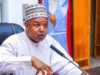 States Account For 48% Of Public Spending— Bagudu States Account For 48% Of Public Spending— Bagudu