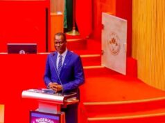 Senate Confirms Oyedele’s Appointment As Minister Senate Confirms Oyedele’s Appointment As Minister