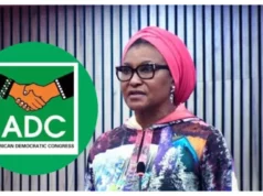 ADC Dismisses Claims Of Kingibe’s Suspension ADC Dismisses Claims Of Kingibe's Suspension