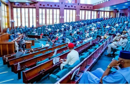 Reps Amend Electoral Act, Propose N10m Fine, 2-year Jail Term For Dual Party Membership Reps Amend Electoral Act, Propose N10m Fine, 2-year Jail Term For Dual Party Membership