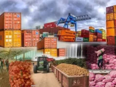 Non-Oil Exporters Seek One-Stop System To Tackle Setbacks, Boost Market Access Non-Oil Exporters Seek One-Stop System To Tackle Setbacks, Boost Market Access