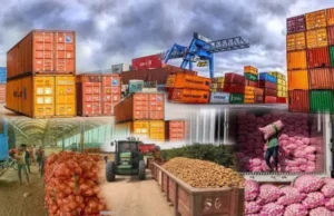 Non-Oil Exporters Seek One-Stop System To Tackle Setbacks, Boost Market Access Non-Oil Exporters Seek One-Stop System To Tackle Setbacks, Boost Market Access