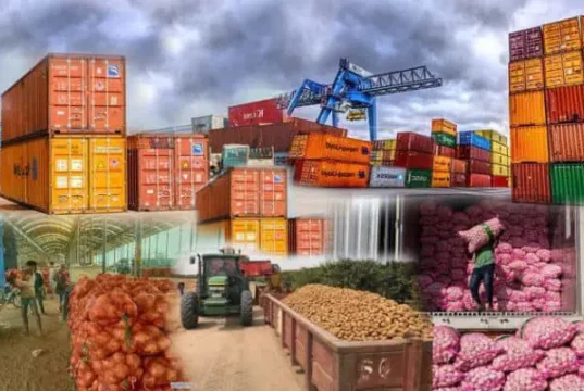 Non-Oil Exporters Seek One-Stop System To Tackle Setbacks, Boost Market Access Non-Oil Exporters Seek One-Stop System To Tackle Setbacks, Boost Market Access