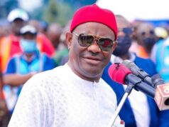 PDP Wike-led BoT Meets After Appeal Court’s Judgement On PDP Convention PDP Wike-led BoT Meets After Appeal Court's Judgement On PDP Convention