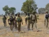 Troops Foil Cattle Rustling Attack In Kano Troops Foil Cattle Rustling Attack In Kano