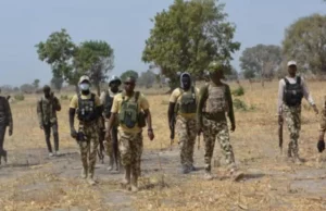 Troops Foil Cattle Rustling Attack In Kano Troops Foil Cattle Rustling Attack In Kano