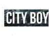 City Boy A Name That Revealed A Nations Fault Lines, By Stephanie Shaakaa City Boy A Name That Revealed A Nations Fault Lines, By Stephanie Shaakaa