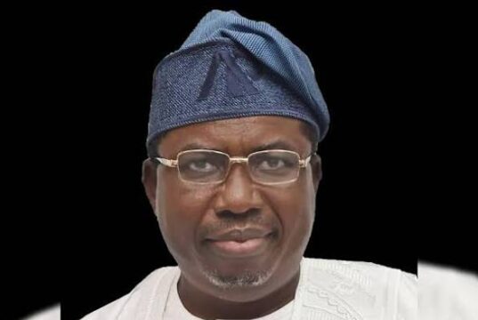 INEC Rejects Calls For Chairman’s Dismissal