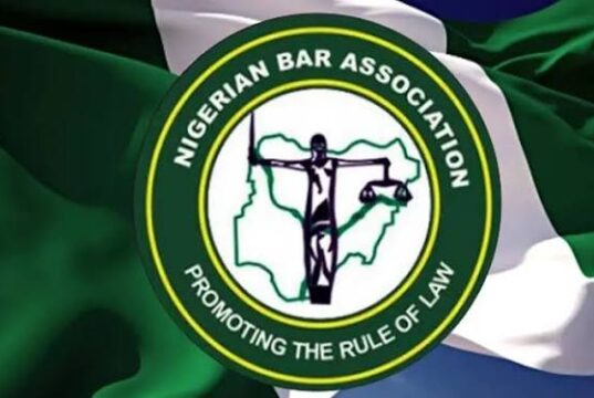 NBA Cautions Lawyers Against Dragging Judiciary Into Political Party’s Disputes NBA Cautions Lawyers Against Dragging Judiciary Into Political Party's Disputes