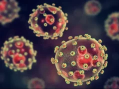 Lassa Fever Deaths Rise — Nigeria Centre For Disease Control Warns Lassa Fever Deaths Rise In Nigeria — NCDC