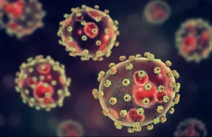 Lassa Fever Deaths Rise — Nigeria Centre For Disease Control Warns Lassa Fever Deaths Rise In Nigeria — NCDC