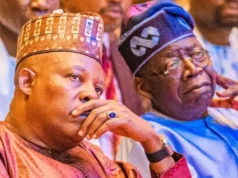 They Told Tinubu I Planned To kill Him, Become President After Our Inauguration — Shettima They Told Tinubu I Planned To kill Him, Become President After Our Inauguration — Shettima
