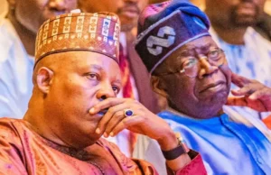 They Told Tinubu I Planned To kill Him, Become President After Our Inauguration — Shettima They Told Tinubu I Planned To kill Him, Become President After Our Inauguration — Shettima