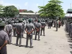 Customs Records N908m Rice Smuggling Seizures In Q1 Customs Records N908m Rice Smuggling Seizures In Q1