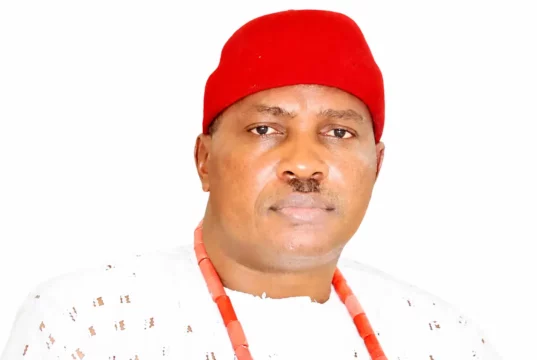 2027: Anioma State Actualisation Tied To Nwoko’s Return — Oganah 2027: Anioma State Actualisation Tied To Nwoko’s Return — Oganah