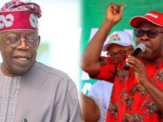 2027: Tinubu Will Secure Massive Votes From Abia South – Ikonne 2027: Tinubu Will Secure Massive Votes From Abia South - Ikonne