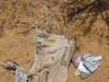 Troops Kill Four Terrorists, Arrest Suspects In Borno Troops Kill Four Terrorists, Arrest Suspects In Borno
