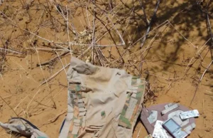 Troops Kill Four Terrorists, Arrest Suspects In Borno Troops Kill Four Terrorists, Arrest Suspects In Borno