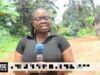 Abia Arise News Correspondent, Norah Okafor Emerges Chairperson Of NAWOJ Abia Abia Arise News Correspondent, Norah Okafor Emerges Chairperson Of NAWOJ Abia