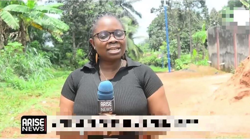 Abia Arise News Correspondent, Norah Okafor Emerges Chairperson Of NAWOJ Abia