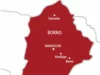 Borno: Cholera Outbreak Kills 37, 3000 Infected Borno: Cholera Outbreak Kills 37, 3000 Infected