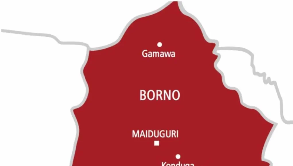 Borno: Cholera Outbreak Kills 37, 3000 Infected