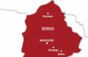 Borno: Cholera Outbreak Kills 37, 3000 Infected Borno: Cholera Outbreak Kills 37, 3000 Infected