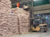 Sugar Industry Key To Addressing Unemployment, Insecurity — NSDC Boss Sugar Industry Key To Addressing Unemployment, Insecurity — NSDC Boss