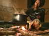 Economic Hardship: Nigerians Revert To Firewood As Cooking Gas, Kerosene Prices Surge Economic Hardship: Nigerians Revert To Firewood As Cooking Gas, Kerosene Prices Surge
