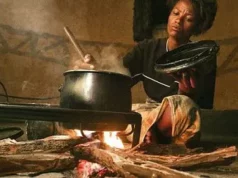 Economic Hardship: Nigerians Revert To Firewood As Cooking Gas, Kerosene Prices Surge Economic Hardship: Nigerians Revert To Firewood As Cooking Gas, Kerosene Prices Surge
