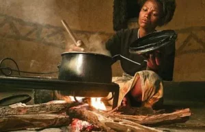 Economic Hardship: Nigerians Revert To Firewood As Cooking Gas, Kerosene Prices Surge Economic Hardship: Nigerians Revert To Firewood As Cooking Gas, Kerosene Prices Surge