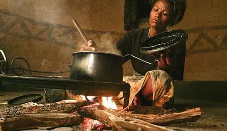 Economic Hardship: Nigerians Revert To Firewood As Cooking Gas, Kerosene Prices Surge Economic Hardship: Nigerians Revert To Firewood As Cooking Gas, Kerosene Prices Surge