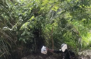 Navy Intercepts 22,870 Litres Of illegal Diesel In Rivers Operation Navy Intercepts 22,870 Litres Of illegal Diesel In Rivers Operation