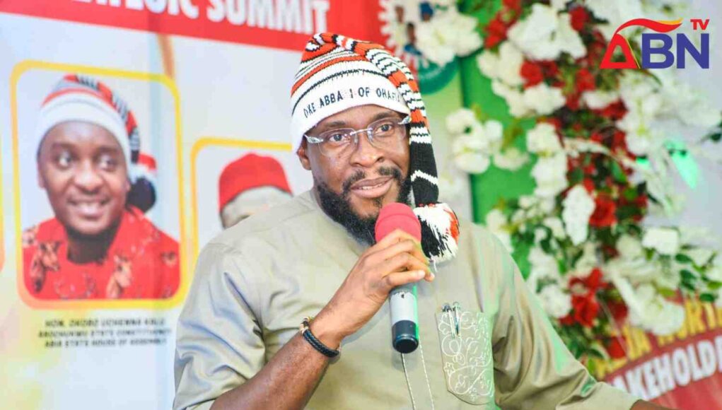 2027: "We Do Not Take Any of Your Votes for Granted." — Hon. Ibe Urges LP Members
