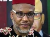 US Lawmaker Seeks Review Of Kanu Case US Lawmaker Seeks Review Of Kanu Case