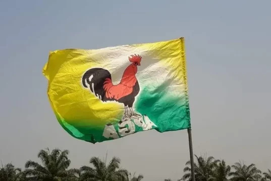 2027: PDP, APC, NDC Members Back APGA Reps Candidate In Anambra 2027: PDP, APC, NDC Members Back APGA Reps Candidate In Anambra